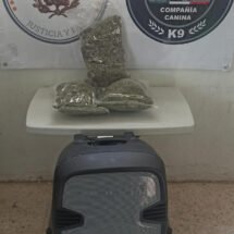 MARIHUANA EN UNA BOCINA