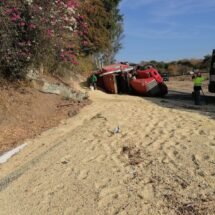 VUELCA TRÁILER CARGADO CON MAÍZ EN LA GALINDA