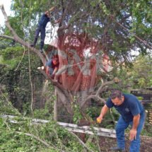 SON ATENDIDOS POR PCYB DE TEPIC