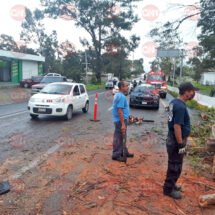 SE REPORTARON DE ÁRBOLES CAÍDOS