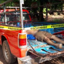 SE MATÓ CUANDO SE AVENTÓ UN CLAVADO Y GOLPEO CONTRA UNAS PIEDRAS