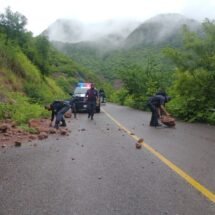 LIMPIEZA SOBRE LA CARRETERA RUIZ – ZACATECAS.