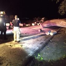 LIBERAN CIRCULACIÓN ELEMENTOS DE PROTECCIÓN CIUDADANA Y BOMBEROS POR LA FEDERAL 200