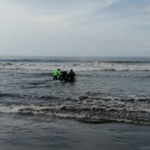 ATIENDEN GUARDAVIDAS DEL ESTADO REPORTE DE BALLENA VARADA EN PLAYA DE SAN BLAS