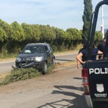 FÉMINA MAYOR CHOCÓ Y DERRIBÓ UN ÁRBOL