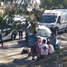 CARRITO GRIS SE LE ATRAVESÓ A CAMIONETA