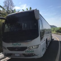 CARRITO SE LE METIÓ AL PACIFICO