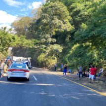 VUELCA TRÁILER CARGADO CON MARRANOS 