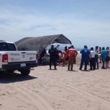 OPORTUNA RESPUESTA PERMITIÓ PONER A SALVO A LOS TURISTAS EXTRANJEROS