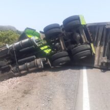 VUELCA TRÁILER CARGADO DE MANGOS PETACONES