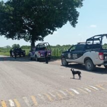 OPERATIVOS DE SEGURIDAD PERMANENTES