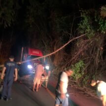 PERSONAL DE PROTECCIÓN CIUDADANA Y BOMBEROS