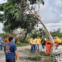 ACUDEN LOS TOPOS AZTECAS BIRTA DE NAYARIT