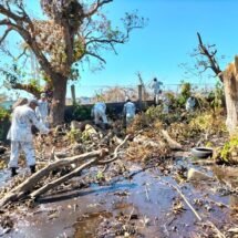 PLAN GN-A  EN NAYARIT