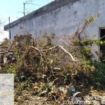 Personal de Protección Ciudadana y Bomberos