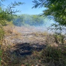 ATIENDEN BOMBEROS DEL ESTADO INCENDIO DE PASTIZAL