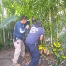 EN BAHÍA DE BANDERAS BOMBEROS LOCALIZAN TREMENDA SERPIENTE