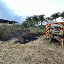 Sofocan Bomberos del Estado incendio de lote baldío en el fraccionamiento Tío Baltazar de Tepic