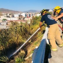 QUEMA DE PASTIZAL MOVILIZÓ A LOS BOMBEROS