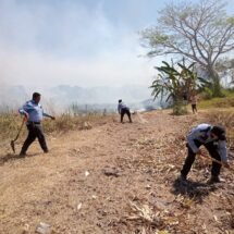 Secretaría de Seguridad y Protección Ciudadana