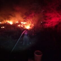 ACUDIÓ BOMBEROS DE NAYARIT