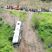 15 YA FUERON ENTREGADAS A SUS FAMILIARES  
