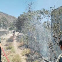 Bomberos de Nayarit se encuentran sofocando un incendio de pastizal en la colonia Pedregal de la capital nayarita.